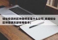 硅谷投资的区块链项目是什么公司[美国硅谷区块链俱乐部有哪些币]