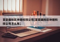 宣亚国际区块链科技公司[宣亚国际区块链科技公司怎么样]