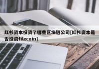 红杉资本投资了哪些区块链公司[红杉资本是否投资filecoin]